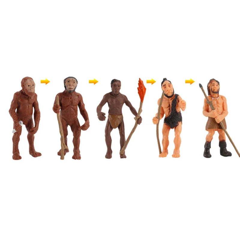 6pcs/set Simulation Wild Animal Toy Plastic Action PVC Model Horse Baby Figure Collection Doll Toy for children Educational toys