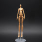 Doll Catwalk Rare Collection Doll Heads Doll Toy Parts Good Makeup Face Head Girl Dressing DIY Toy Parts Children Birthday Gift