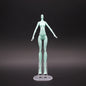 Doll Catwalk Rare Collection Doll Heads Doll Toy Parts Good Makeup Face Head Girl Dressing DIY Toy Parts Children Birthday Gift