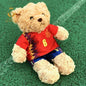Plushie Teddy Bear Doll