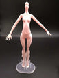 Doll Catwalk Rare Collection Doll Heads Doll Toy Parts Good Makeup Face Head Girl Dressing DIY Toy Parts Children Birthday Gift