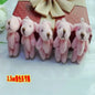 20pcs Kawaii Small Bears Plush Toys 4cm Mini Teddy Bear Stuffed Plush Dolls For Girl Keychain Joint Movable Bear Children Gift