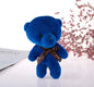 Teddy Bear Children Party Small Gift