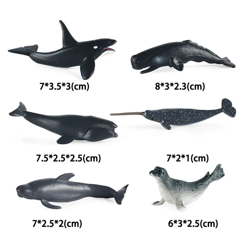 6pcs/set Simulation Wild Animal Toy Plastic Action PVC Model Horse Baby Figure Collection Doll Toy for children Educational toys