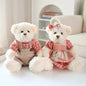 2pcs/lot 26cm Lovely Couple Teddy Bear Peluche Toys Kawaii Dress Bear Dolls Stuffed Soft Toy for Girls Baby Girlfriend Gifts