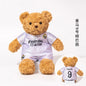 Plushie Teddy Bear Doll