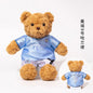 Plushie Teddy Bear Doll