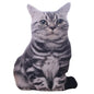 Plush Realistic 3D Cat Doll Cartoon Soft Simulation Cat Plushie Pillow Stuffed Kawaii Plush Animals Toy Cushion for Kids Girls