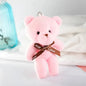 Plush Bear Keychain Soft Stuffed